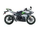 Kawasaki Ninja e-1