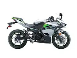 Kawasaki Ninja e-1