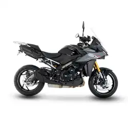 Suzuki GSX-S1000 GX