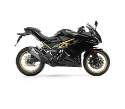 Lexmoto LXR 125 E55